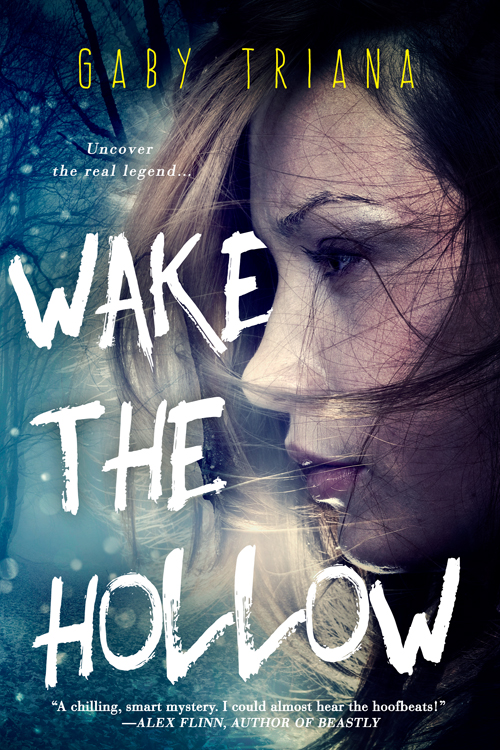 WAKE THE HOLLOW 500x700