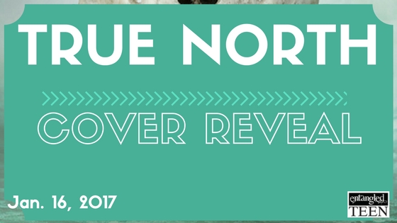 True North Cover Reveal Banner (4)