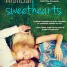 Swoon Sunday with  Sam Anderson from Artificial Sweethearts by Julie Hammerle!