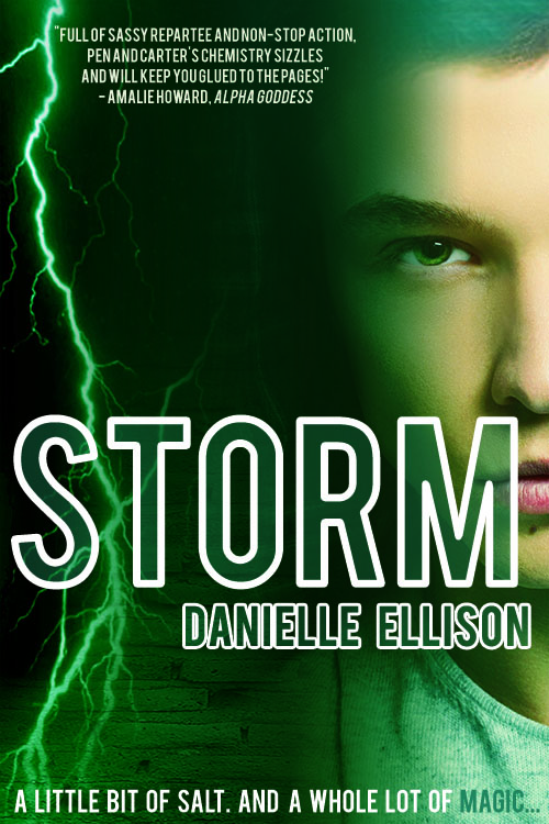 Storm by Danielle Ellison