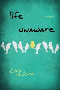 Life Unaware by Cole Gibsen