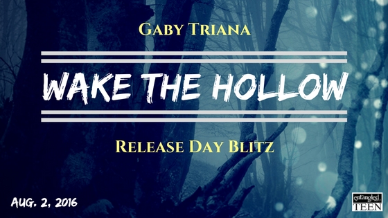 Wake The Hollow Release Day Blitz!